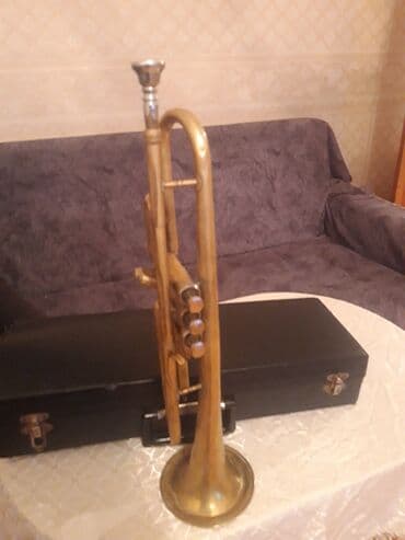 чехлы для скрипки: Misinstrument: Boru (trampet) Təsvir: - Klassik pirinç korpus, 3 — 2