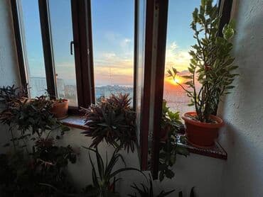 продажа квартир в баку новостройки: 3 комнаты, Новостройка, 62 м² — 10