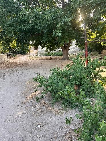 torpaq sahesi satilir: 9 sot, Tikinti, Mülkiyyətçi — 2