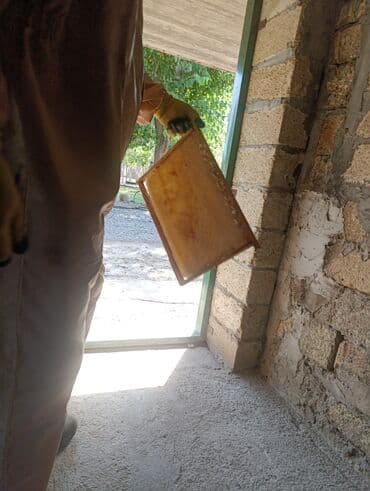 котята в добрые руки бесплатно: Salam Təmiz bal 🍯 satılır çatdırılma var ✅ ünvan Lənkərandı — 3