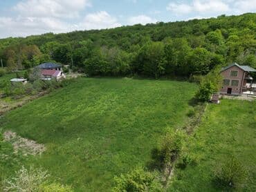 qara qarayev kiraye: 40 sot, Biznes üçün, Mülkiyyətçi, Kupça (Çıxarış) — 4