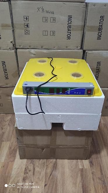 Çin, Fabrik istehsalı, Tam avtomat, Bütün növ quşlaq üçün