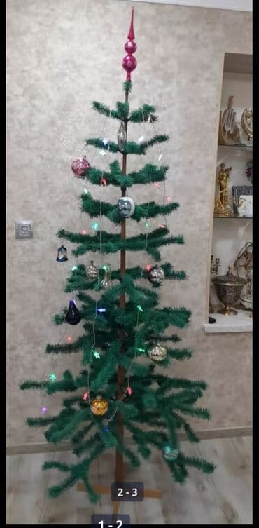 şam ağacı toxumu: Yeni il yolkası — 2