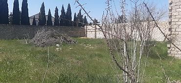 qara qarayevde yeni tikililer: Tikinti — 3