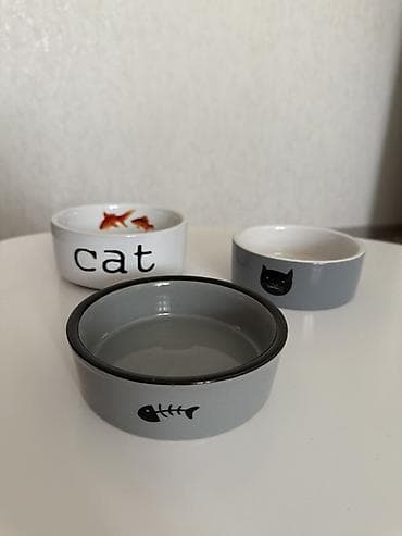 pisik ucun quru yem: Pişiklər üçün keramik yemək-su qabları Dəst: 3 ədəd kasa (ayrı-ayrı — 1
