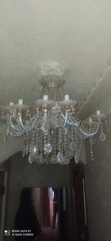 Bitkilər üçün dibçəklər: Çılçıraq — 1