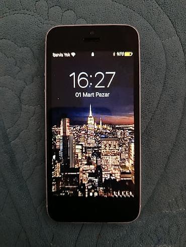 IPhone 5, Gümüşü