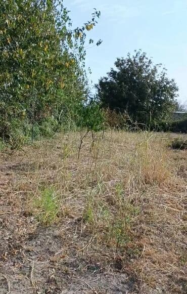 Qarajlar: 25 sot, Biznes üçün, Mülkiyyətçi, Bələdiyyə — 4