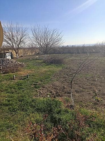 xocasen kiraye evler: Mingəçevir, 1000 kv. m, 1 otaqlı, Hovuzsuz, Su — 3