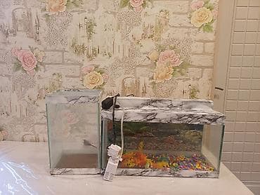 akvarium baki: Akvaryum dəsti - 2 ədəd şüşə akvaryum: biri enli-uzun düzbucaqlı — 4