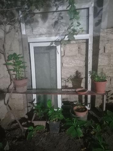 2.el pencere: Penceredir eziksiz ciziqsiz usten sokulme wuweleri de var alan adama — 1