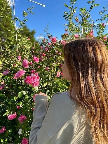 Salam, Fasfod ustası, Qablaşdırma, Satıcı, Operatotr, Mebel sahesinde