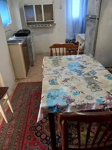 ucarda ev satilir: Gurd deresi 1 heyetde 2 evdi, ev sahibi de eyni heyetde yawayir — 3