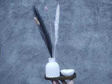 набор инструментов: Rayonlara pulsuz çatdırılma. Güllər daxil deyil, ayrıca satılır (1,5 — 5