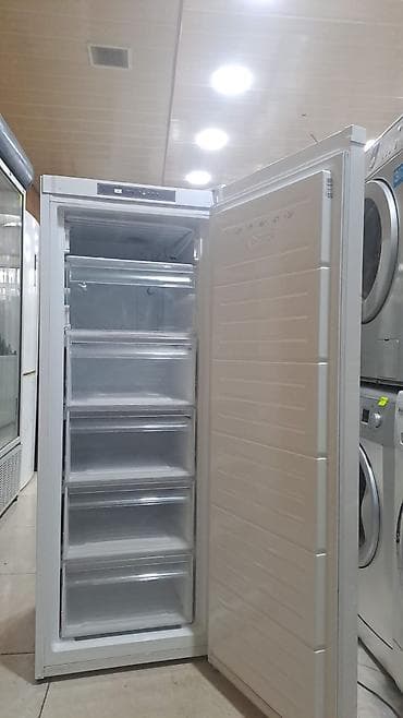 SENOCAR şaquli dondurucu - Tip: tək qapılı, şaquli dondurucu - Rəng