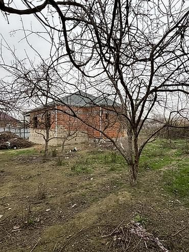 berde ev alqi satqisi: 9 sot, Tikinti, Mülkiyyətçi, Kupça (Çıxarış) — 6