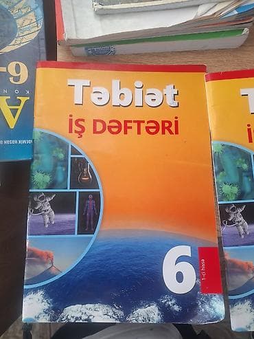 İş dəftəri 6-cı sinif