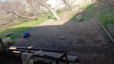 savalanda torpaq satilir: Tikinti — 6