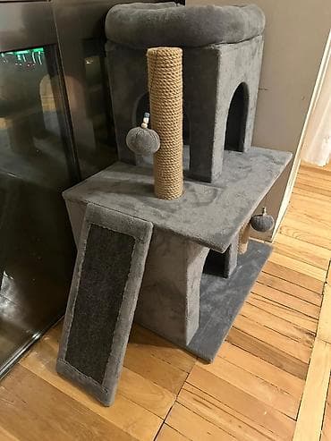 pısık sekıllerı: Pişik üçün çoxfunksiyalı oyun və dincəlmə kompleksi reali alici ile — 2