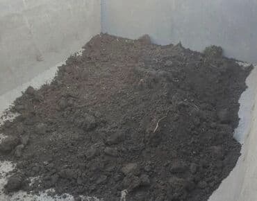 dibcək gulləri ev gulleri ve adlari: Kənd təsərrüfatında və ya bağçılıqda istifadə olunan qara rəngli — 1