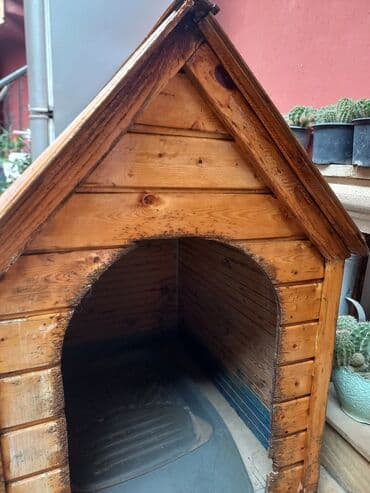 it yuvasi satilir: Taxta it evi.Temiz taxtadandir.Üzəri laklidir — 6