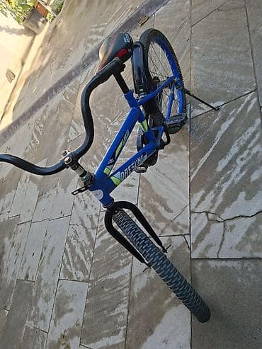 volta vsm: Uşaq/yeniyetmə velosipedi – DAESUNG BMX üslubunda - Çərçivə: polad — 1