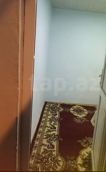 e suleymanov kucesi: Kirayə verilir 200azn.Qaracuxurda.kommunal daxil. Her seraiti var. - — 3