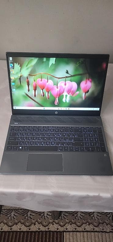 İşlənmiş HP Pavilion, 15.6 ", AMD Ryzen 5, 256 GB