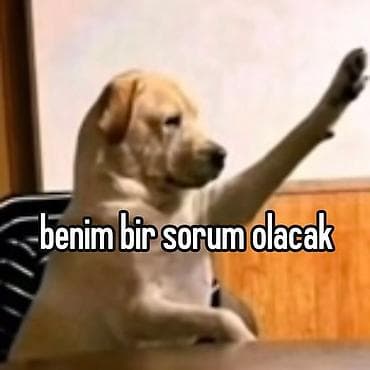 3 otaql: Salam. Hazırda kirayə evdə qalan və evinə 1-2 nəfər tələbə — 2