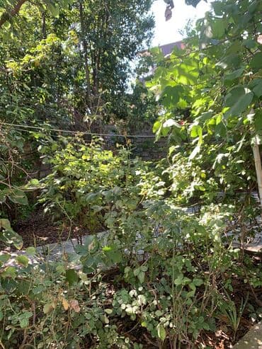 Odun: Продаю землю в амираджанах около рельсов комсомольская дорога4 сотки — 8