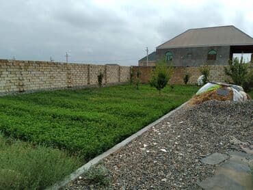 баку недвижимость: Torpaq Gəncə hava limanının yaxınlığında yerləşir.Qaz,su,işıq və — 2