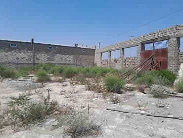 torpaq bakıda: Biznes üçün — 6