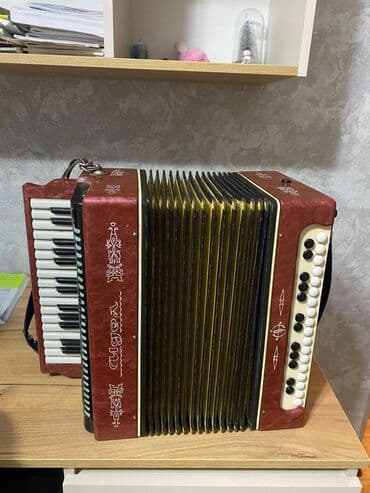 Синтезаторы: Акустический Аккордеон — 1