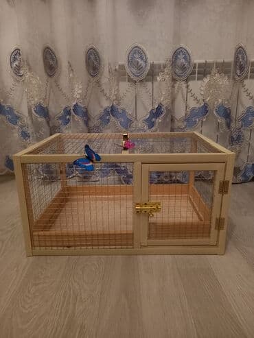 evren cuce yemi: Her ölçüye uygun qefesler yigilir razmere göre qiymet deyişir — 1