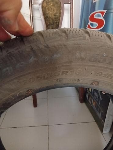 Nəqliyyat: Yeni Şin Petlas 205 / 55 / R 16 — 2