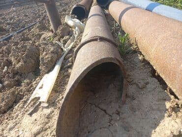 avropa qapıları və qiymətləri: Turba hamsi bir yerdə 350 manata — 2