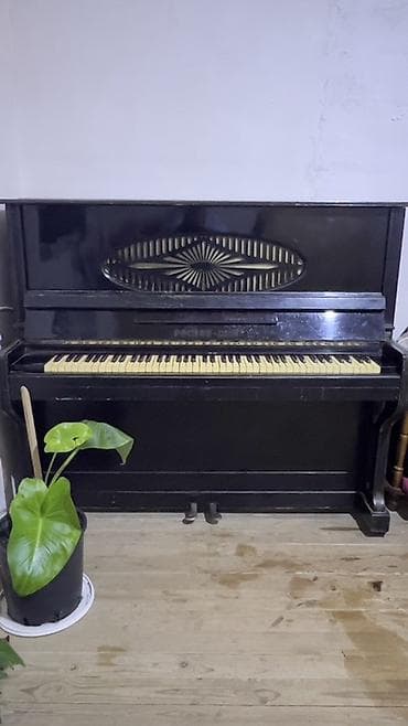 gitara ucun pedal: Piano, Rostov-Don, Akustik — 1
