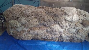 QOYUN YUNU SATILIR Şamaxı yunu