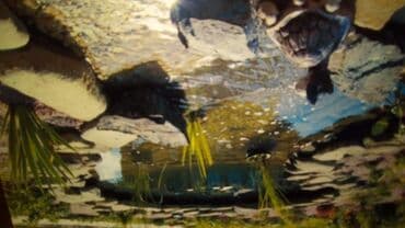 решетки на окна в баку: Shalale,cay,gol,ere dosheme,xasarlara ve evin fasadina tebii ve tokme — 5