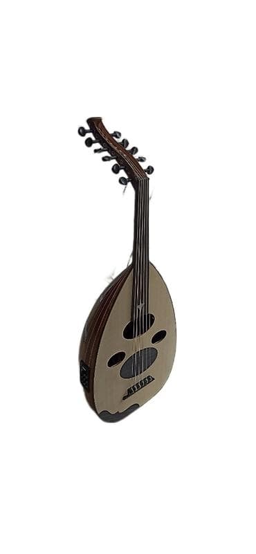 irsad electronics velosiped: Ud, ərəb udu, ekvalayzerli Rast musiqi alətləri mağazası. Əhmədli — 2