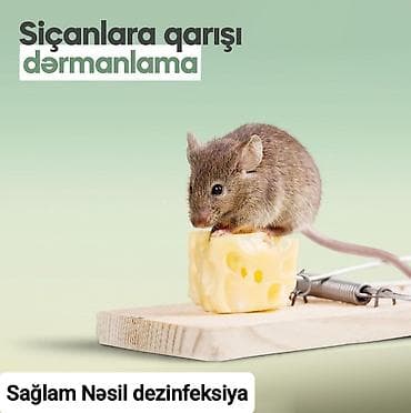 Ремонт техники: Дезинфекция, дезинсекция | Клопы, Блохи, Тараканы | Офисы, Квартиры, Дома — 6