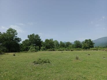 земельные участки на море: 12 sot, Biznes üçün, Mülkiyyətçi, Kupça (Çıxarış) — 2