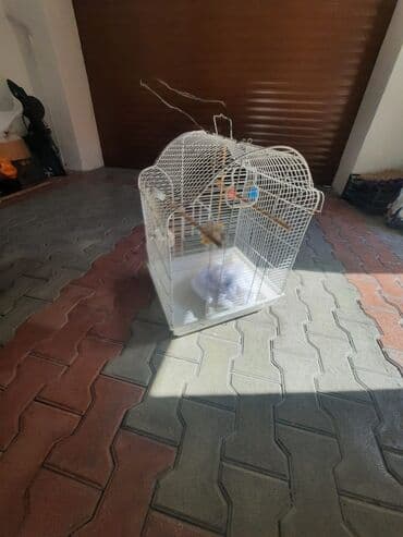 qus yuvası: Quş qəfəsələri dəsti - 1 ədəd iri, hündür qəfəs təkərli metal stend — 4