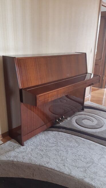 petrof: Piano, Petrof, Akustik — 6