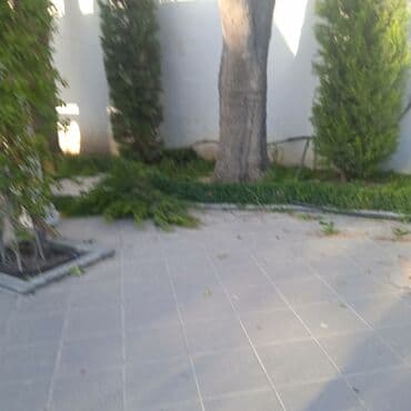 ищу работу садовник на дачу: Bağ işləri ağac və kolların budanması,şəkilləndirməsi dərmanlara qazon — 1