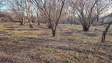 Аренда участков: Для сельского хозяйства — 4