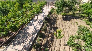 домики в набране: 7 otaqlı, 250 kv. m — 19