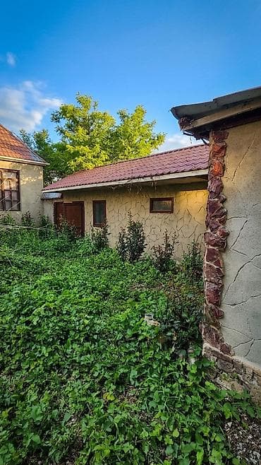 qax ilisu ev satilir: 10 sot, Biznes üçün, Mülkiyyətçi, Kupça (Çıxarış), Müqavilə — 2