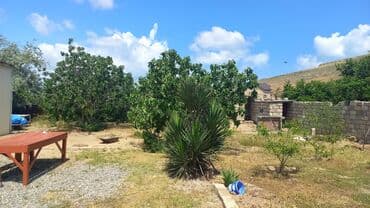 elmler ev: Novxanı, 130 kv. m, 3 otaqlı, Hovuzsuz, İnternet, Telefon, İşıq — 7