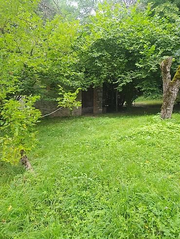 sibrizde evler: İsmayıllı rayonun Cülyan kəndi. Rayondan 300 m məsafədə, meşənin — 5
